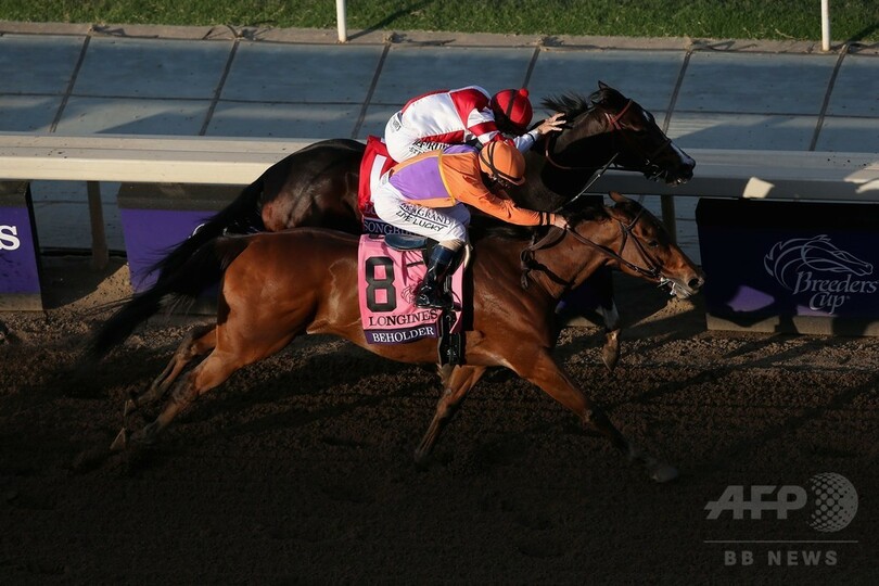 ビホルダーがハナ差でディスタフ制す、ブリーダズカップ