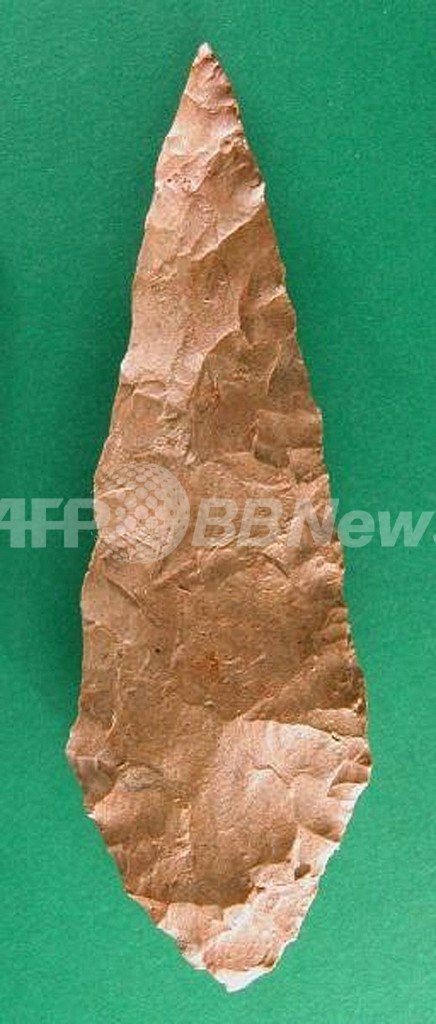 高度な石器作り、起源は欧州ではなく7万年前のアフリカ 高度な石器作り、起源は欧州ではなく7万年前のアフリカ