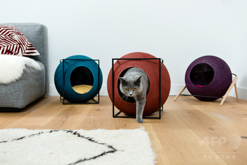 パリ発「MEYOU」日本初上陸、おしゃれなキャットハウス