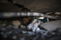 パレスチナ自治区ガザ地区（Gaza Strip）ガザ市（Gaza City）で、イスラエル軍の攻撃で破壊された建物のがれきの中で生存者を探すパレスチナ人男性（2014年8月4日撮影）。(c)AFP/MARCO LONGARI