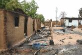 「盗賊団」が治安部隊を待ち伏せ攻撃、8人殺害 ナイジェリア北西部