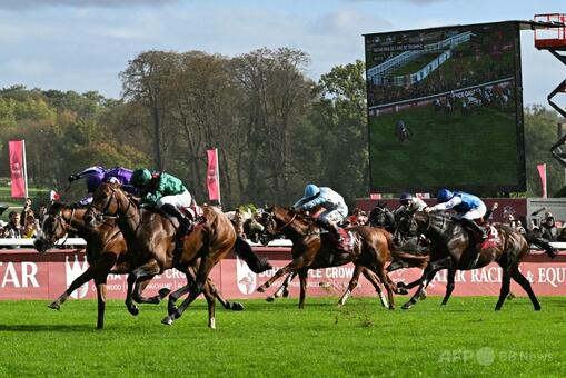 ダリズが凱旋門賞V、日本馬最高はビザンチンドリームの5位 写真5枚