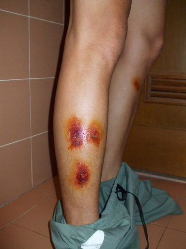 国連人権理事会、ミャンマー問題で特別協議を開催へ