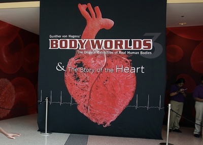 ロシアで「人体展」、捜査対象に 宗教感情の侮辱の恐れ