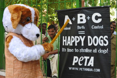 PETAが避妊・去勢のABCをレクチャー