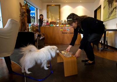 メキシコ市の犬用レストラン、オーナーは日本人