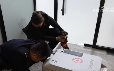 中国の高速鉄道でペットのお預かりサービスが最適化