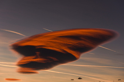 【特集】AFPのベストショット：11月28日～12月4日