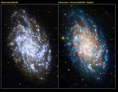 紫外線と赤外線でとらえた、さんかく座星雲