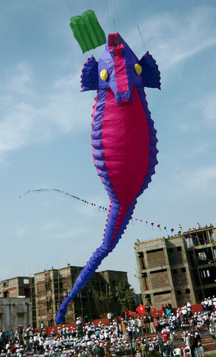 インドの空にカラフルなたこが乱舞、国際たこ揚げ大会開催