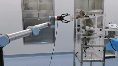 初のヒト以外の霊長類動物介入型ブレイン・マシン・インターフェース試験に成功 中国