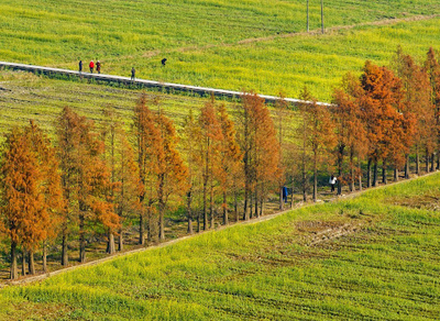 自然を尊重し自然に順応し自然を守ることで持続可能な発展を実現