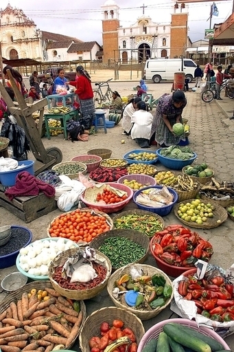 115人が食中毒、政治集会の食事が原因か