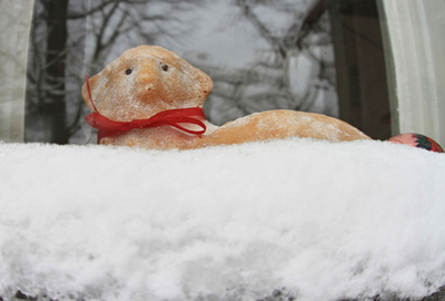 女性に水浴びせる伝統行事、チェコ