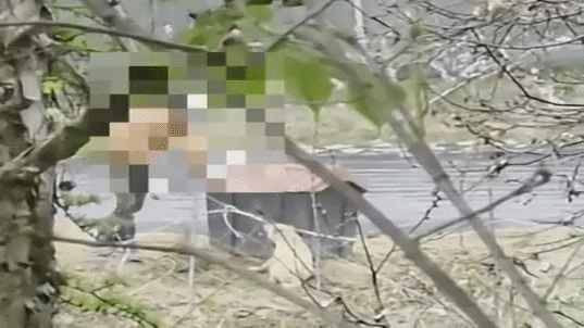 男性が犬を足で踏みつける様子＝動物自由連帯提供(c)NEWSIS