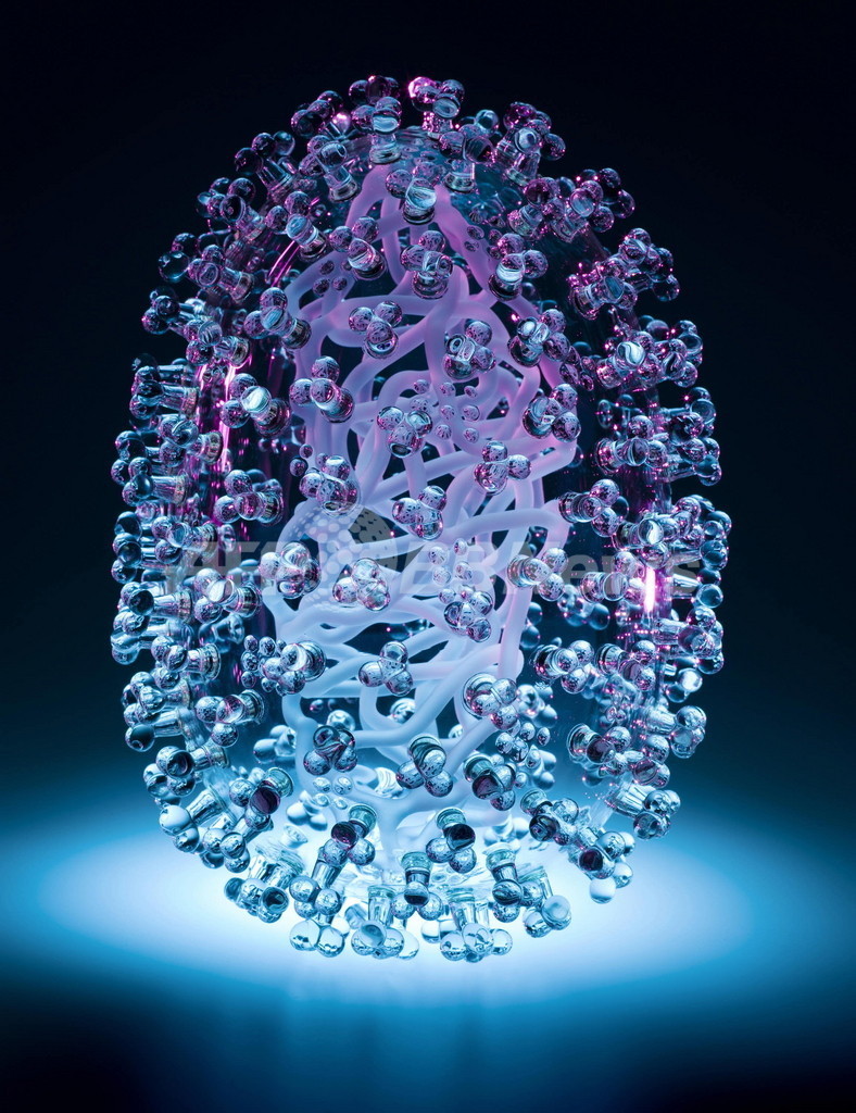 新型インフルがガラス彫刻に、英芸術家がウイルスかたどり制作 写真2枚 国際ニュース：AFPBB News
