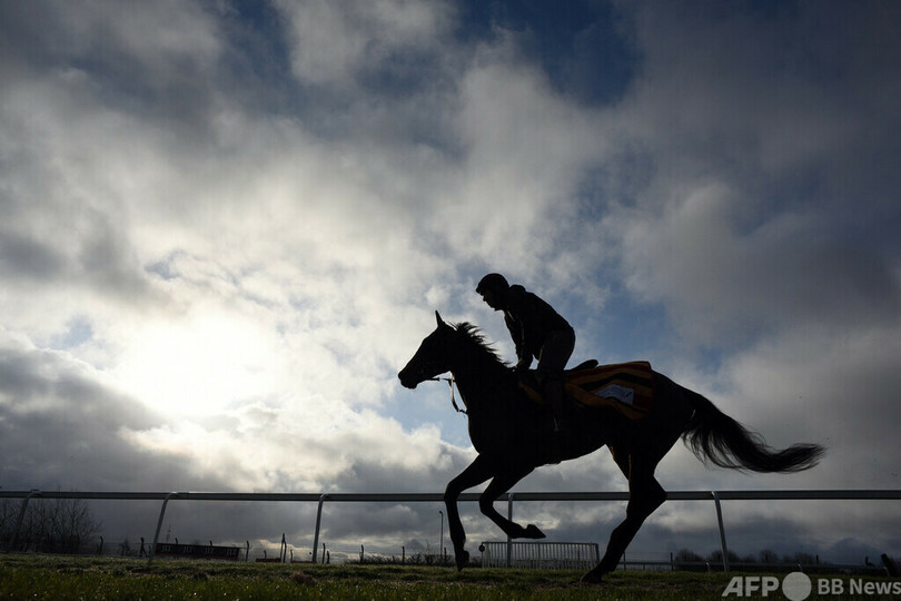 日本人騎手が落馬事故で重体 ニュージーランド競馬