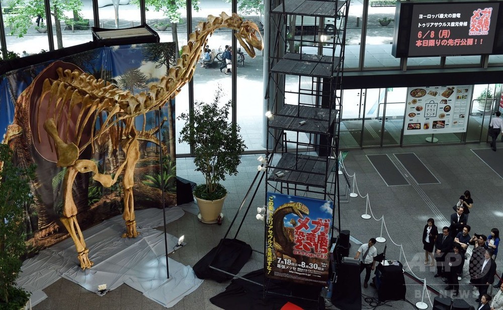 高さ9メートル 丸の内にメガ恐竜出現 写真5枚 国際ニュース Afpbb News