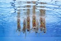 スペイン・バルセロナ（Barcelona）で開催されている第15回世界水泳選手権（15th FINA World Championships）。水中カメラで撮影されたシンクロナイズドスイミング・チームの演技の様子。

チームテクニカルルーティン（TR）決勝で演技するウクライナの選手（2013年7月22日撮影）。(c)AFP/FRANCOIS XAVIER MARIT