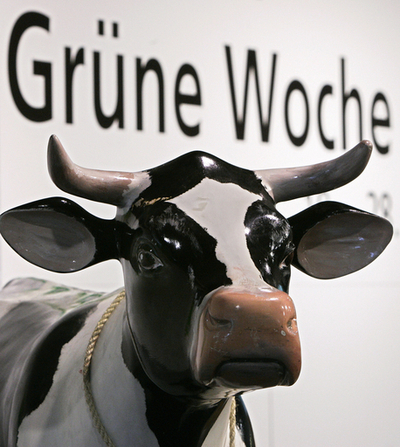 展示会に実物大のウシの模型が登場 - ドイツ