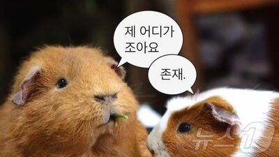 韓国の旅行会社、宣伝を捨てて「面白さ」を選択…ユーチューブ登録者が3倍に急増