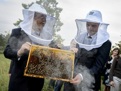 国連加盟10周年に「ミツバチの箱」、スイスが寄贈