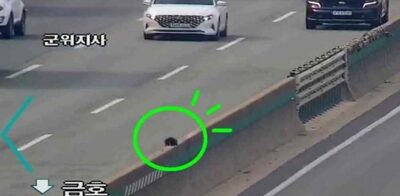 高速道路の中央分離帯に猫が…「トラフィックブレーキ」で救助した韓国警察