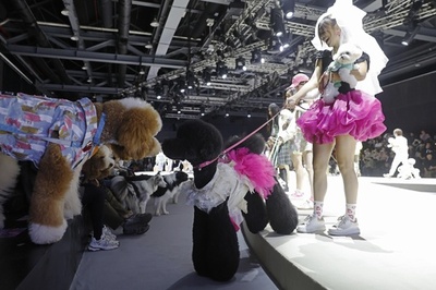 上海ペットファッションウィーク開幕　カスタマイズの風がペット業界にも