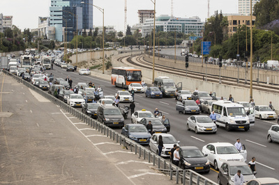 50万年前の「楽園」 幹線道路脇で発見 イスラエル