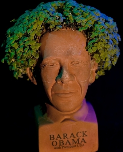 最も悪趣味!?その名も「オバマ・チアペット」