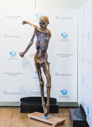 5000年前のミイラ「アイスマン」、3Dプリンターで複製