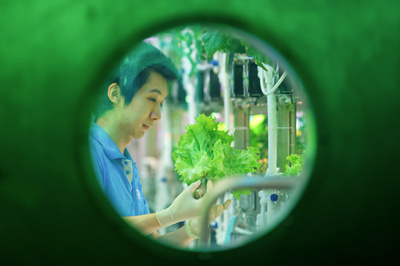 「月宮」実験が終了 計370日間は世界最長