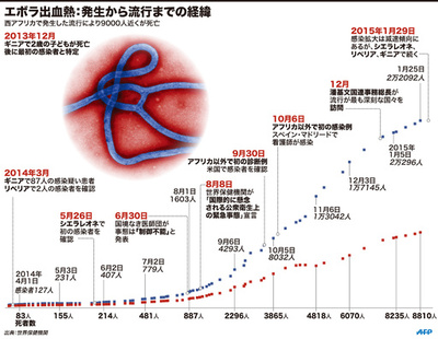 【図解】エボラ出血熱:発生から流行までの経緯