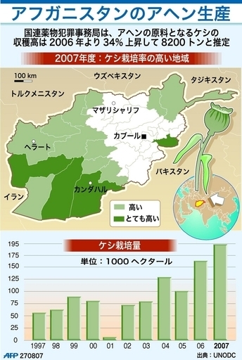 アフガニスタン国内のケシの栽培状況