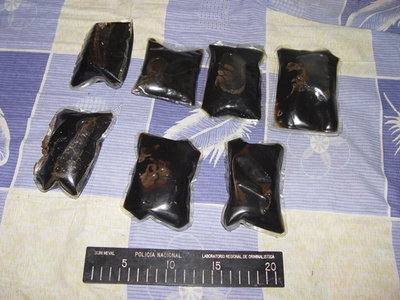 子犬の腹部にヘロイン埋め込む、コロンビア人の獣医師が密輸 米国