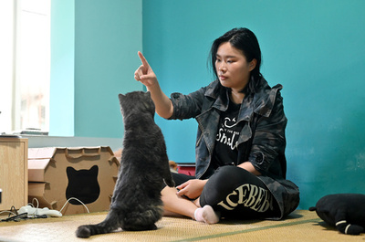 中国で急成長するペット保険 「治療費が払われない」トラブルも