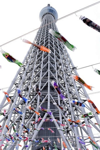 こいのぼり600匹超が空を舞う 東京スカイツリー