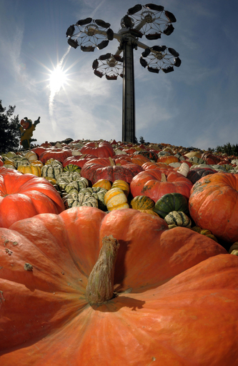 ハスロッホのカボチャコンテスト、ドイツ