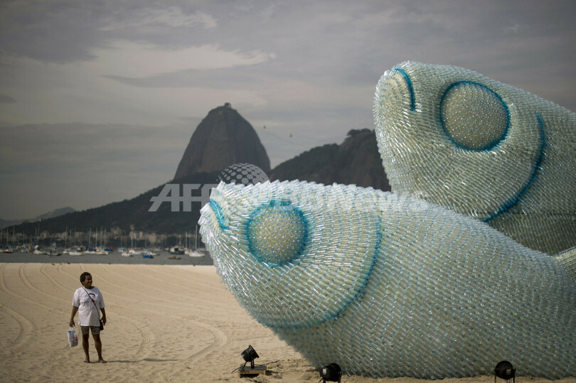 ビーチに巨大な ペットボトル魚 リオ 写真6枚 国際ニュース Afpbb News