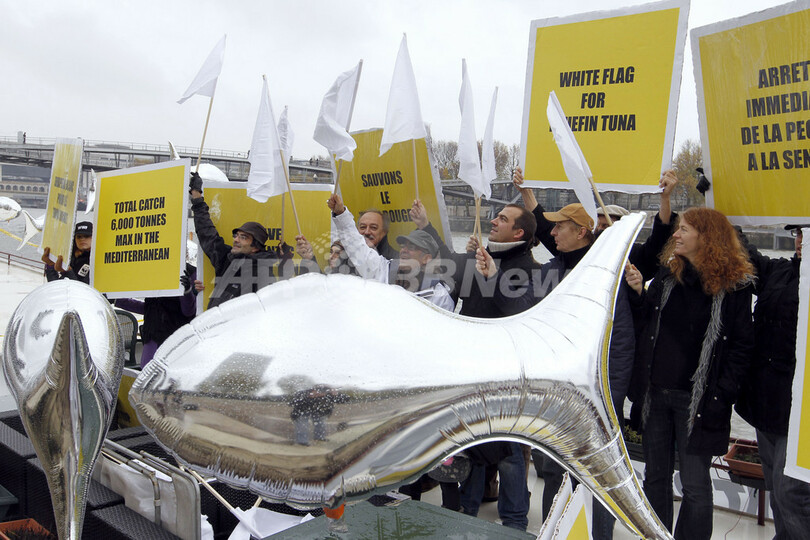 クロマグロ漁穫枠、小幅の600トン削減で合意