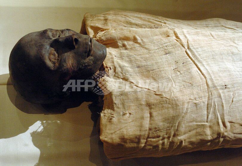 古代エジプト女王のミイラを特定　歯が決め手に