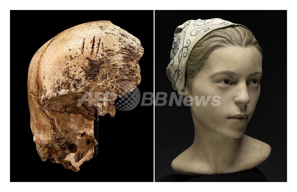 北米大陸初の英植民地で起きた食人の証拠、14歳少女の骨から発見