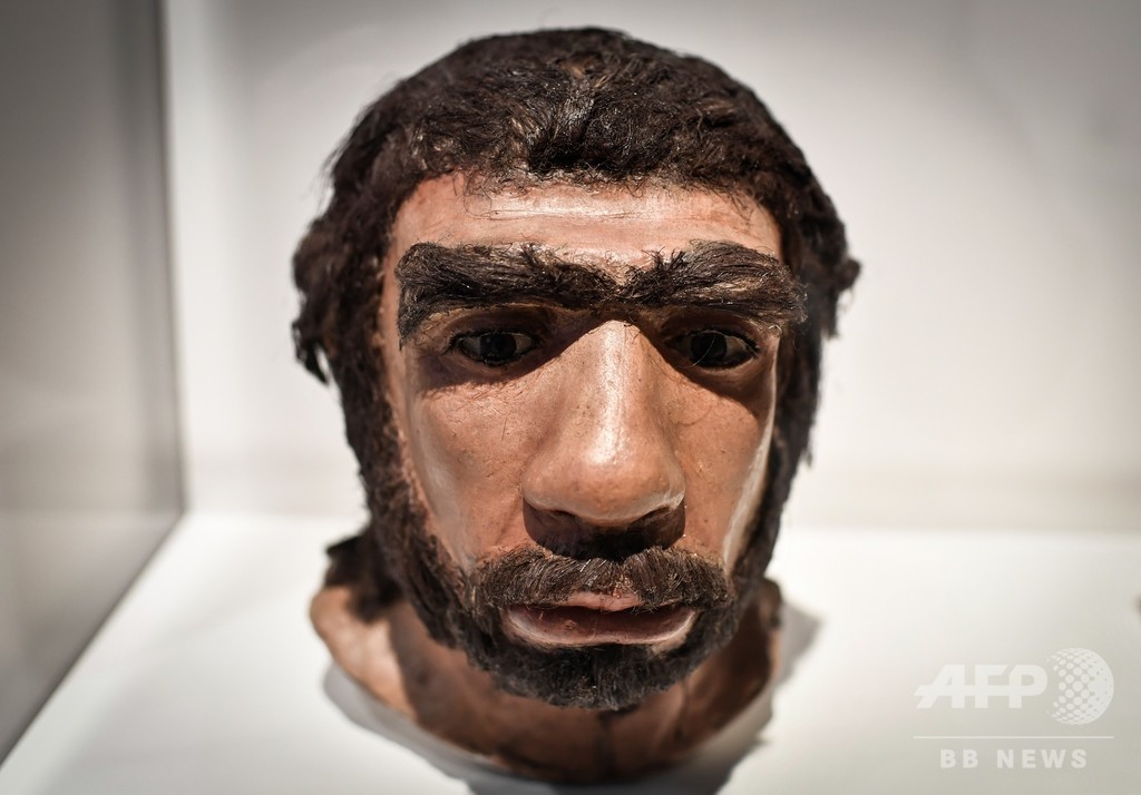 ネアンデルタール人と現生人類の分岐、従来説より約30万年早い 英研究 ネアンデルタール人と現生人類の分岐、従来説より約30万年早い 英研究