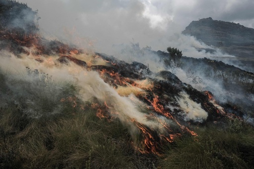 img_4ed5022af77eed6645cca0d419