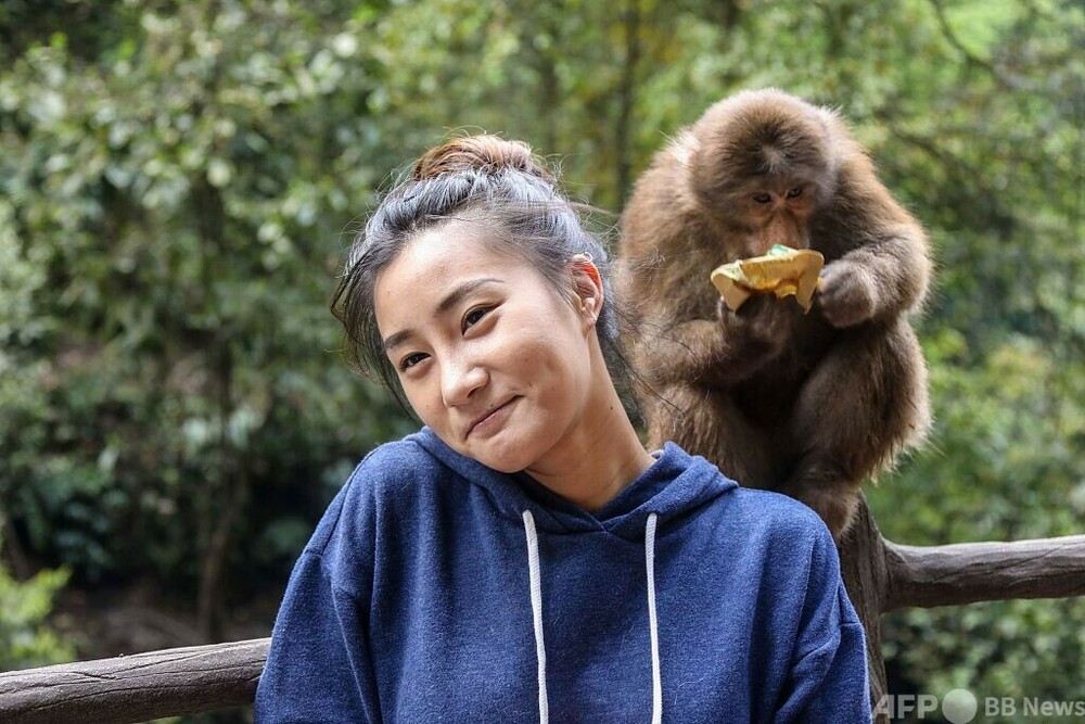 峨眉山の関連部門 サル被害の観光客に詫びる 写真1枚 国際ニュース