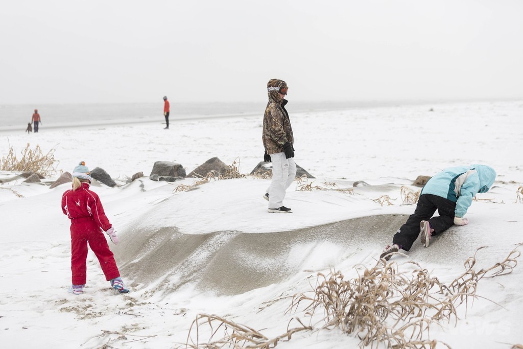 米南部に異例の吹雪、交通まひで数千人立ち往生