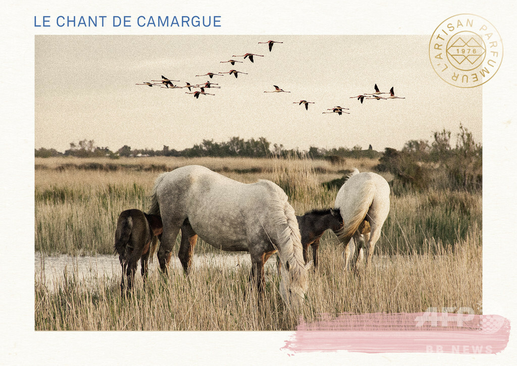 「ラルチザン パフューム」南仏・カマルグ地方の美しい自然を描いた新作発売