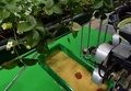 農家の人たちが眠っている間に熟したイチゴを収穫してくれるロボットが25日、都内で開催された自動認識総合展（AutoID and Communication Expo）で公開された。開発者によると、農家の作業量は3分の2に軽減されるという。

機械メーカーのシブヤ精機（Shibuya Seiki）と食料や農業、農村に関連した研究活動を行う農研機構（National Agriculture and Food Research Organisation）が出展した全長2メートルのロボットは、畝の間に敷いたレール上を移動しながら作業し、8秒に1個のイチゴを摘み取ることができる。

また、収穫に適しているイチゴを選ぶためのカメラが3台装備されており、イチゴの状態を確認した上でアームを出して摘み、かごに入れていく（2013年9月25日撮影）。(c)AFP/Yoshikazu TSUNO