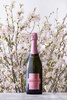 (c)CHANDON
