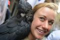 オーストラリア国内の動物園や水族館で作る団体は全国絶滅危惧種デー（National Threatened Species Day）の7日、シドニー（Sydney）市内中心部マーティン・プレース（Martin Place）でコアラやタスマニアデビルなどを展示し、来場者らに絶滅危惧種に対する理解や保護を呼び掛けた。

写真は野生動物専門家によって展示されているアカオクロオウム（2012年9月7日撮影）。(c)AFP/ROMEO GACAD